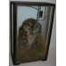 Victorian Taxidermy Cased Tawny Owl