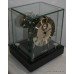 Hermle Skeleton Clock