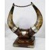 Antique Horns with Metal Mounts on Mahogany Base