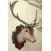 Handsome Antique Mounted Deer Head Taxidermy Stag