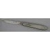 Victorian Mother of Pearl Silver Fruit Knife Thomas Marples 1885