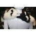 Fine Art Deco Harlequin Arctic & Black Fox Fur Stole