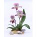 Boehm Lady's Slipper Orchid Limited Edition Flower 