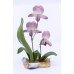 Boehm Lady's Slipper Orchid Limited Edition Flower 