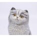 Royal Worcester Kittens Sculpture Blue Persian